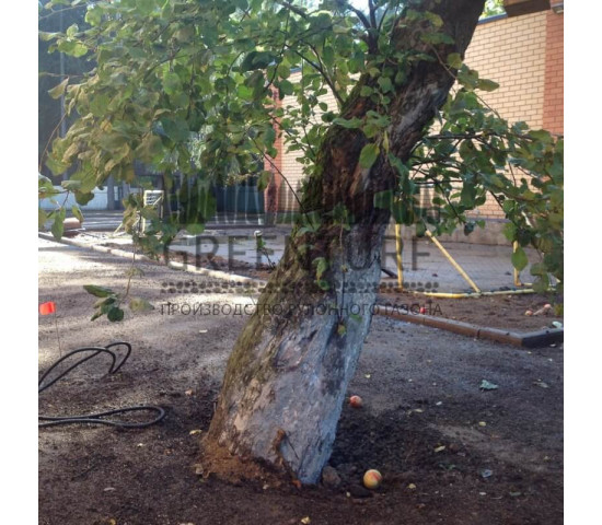 Озеленение частного домовладения - фото - 8