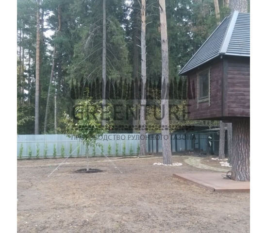 Озеленение частного домовладения - фото - 13