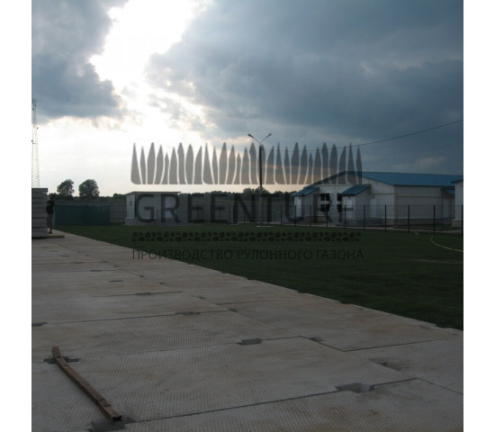 Озеленение крупного кролиководческого комплекса - фото - 12