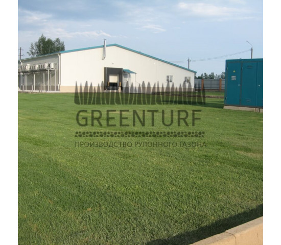 Озеленение крупного кролиководческого комплекса - фото - 13